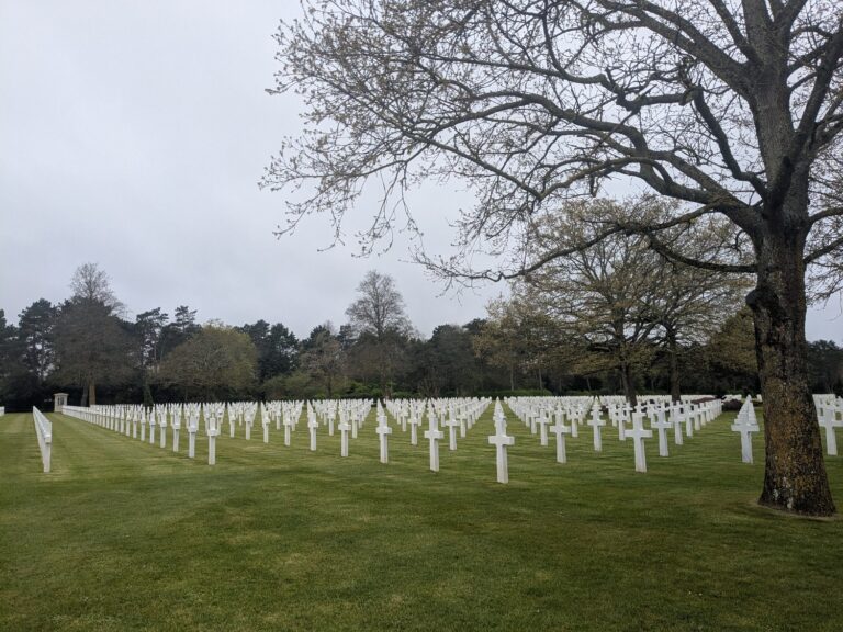 Les terminales STMG au Mémorial de Caen