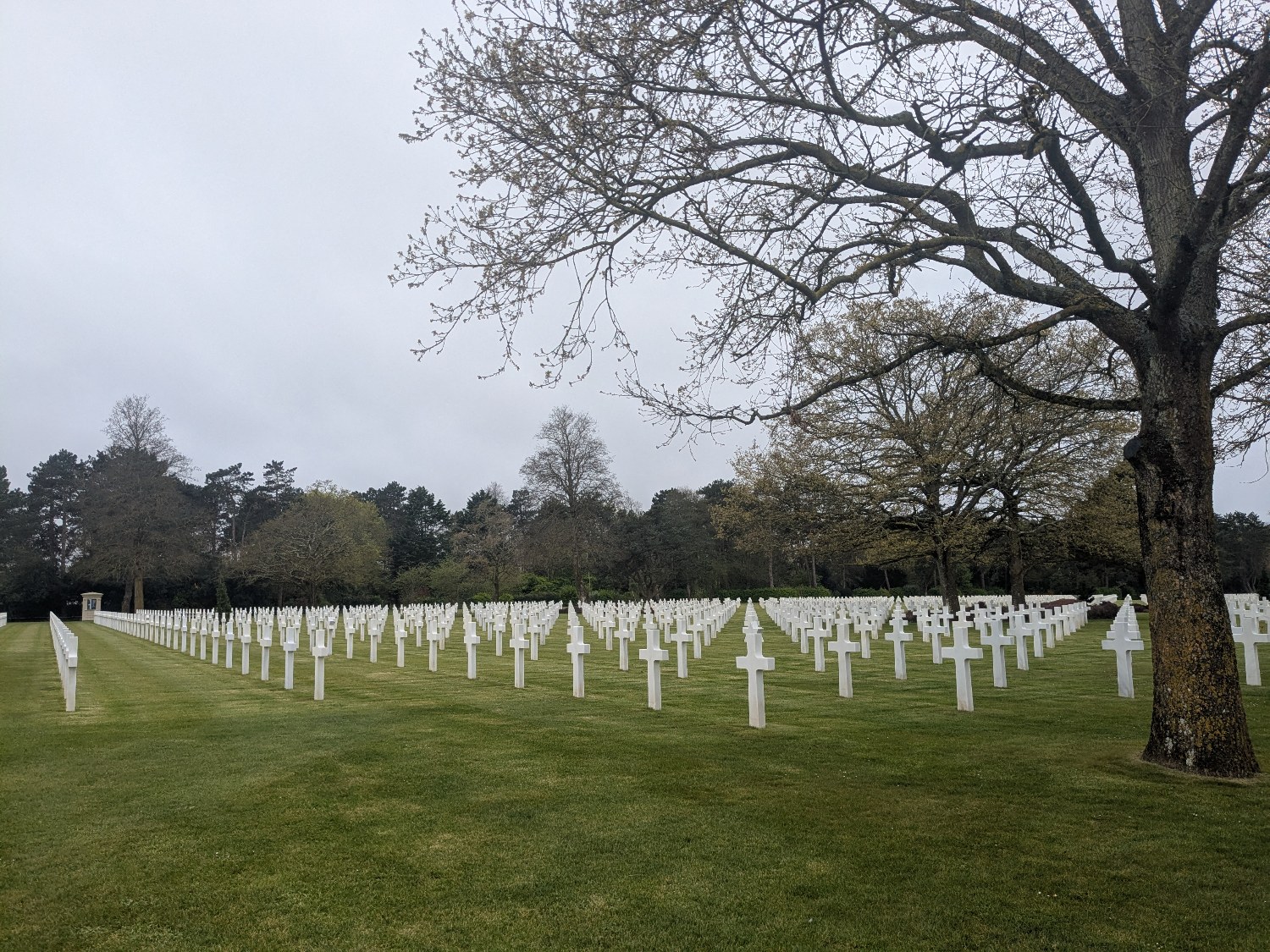 Les terminales STMG au Mémorial de Caen
